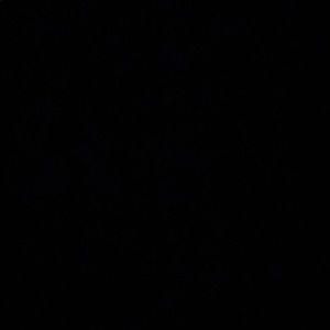 Meet your Posher, Marie